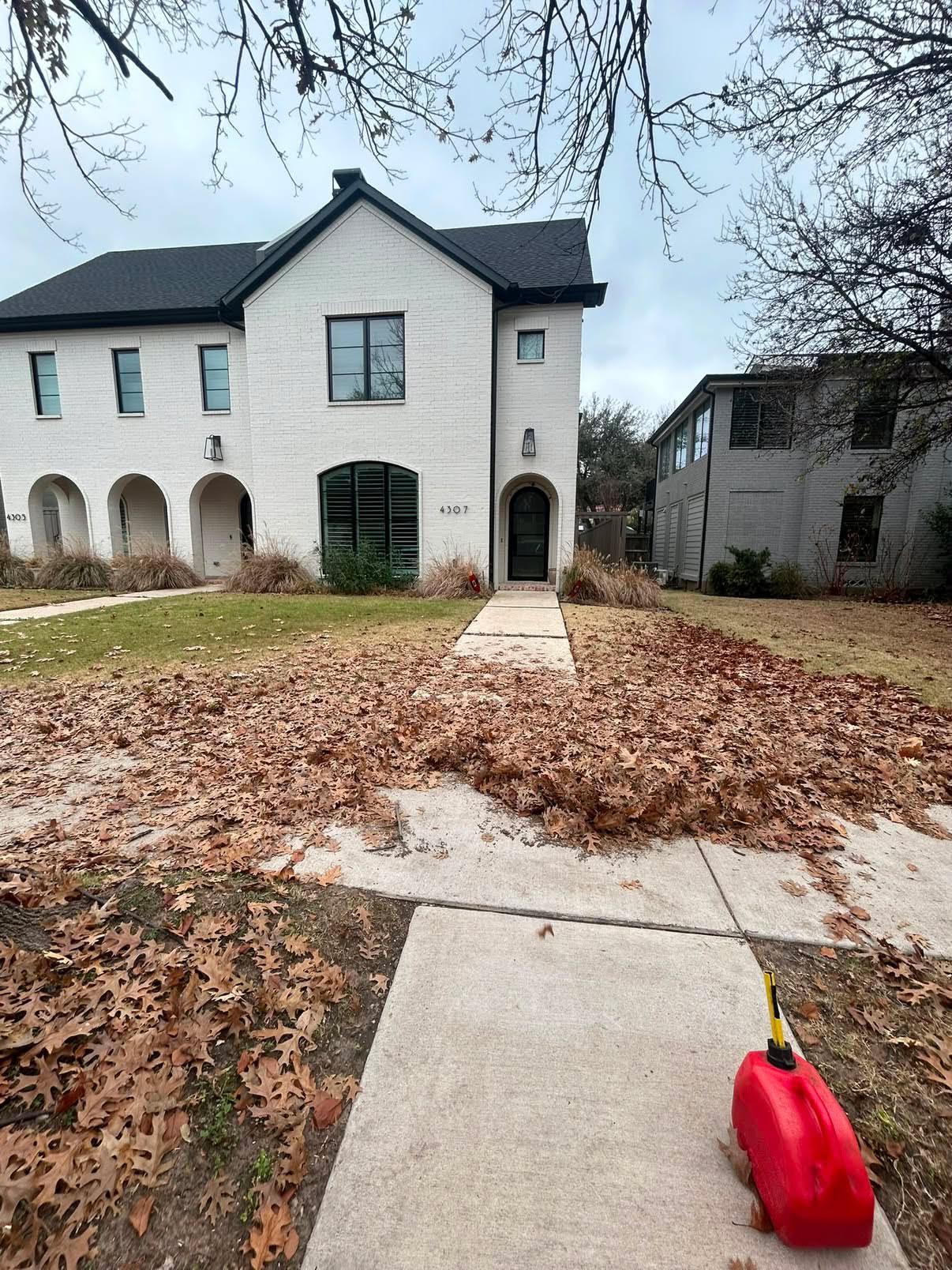 Fall leaf cleanup & walkway clearing — before